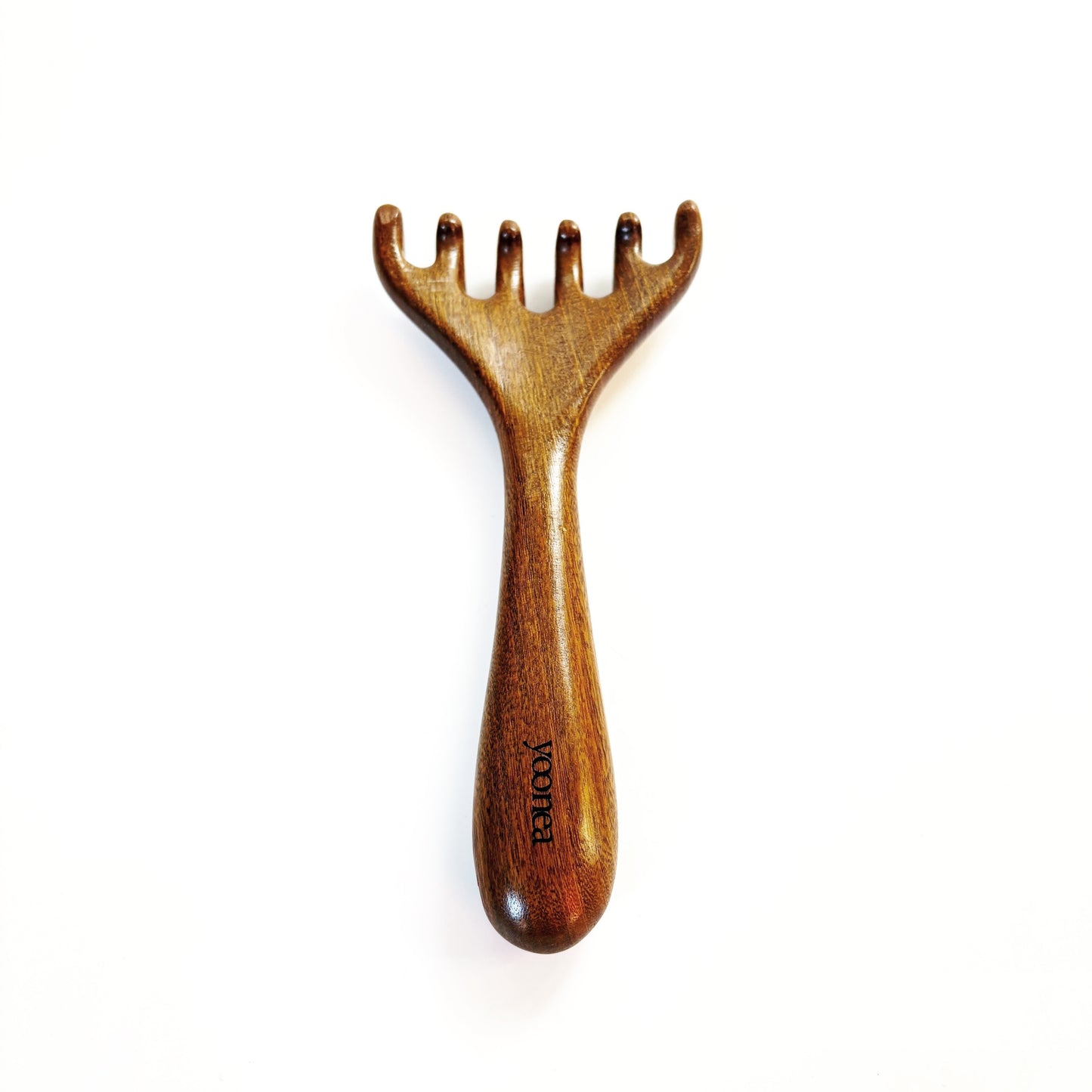 Brosse Spéciale Méridiens pour la Tête