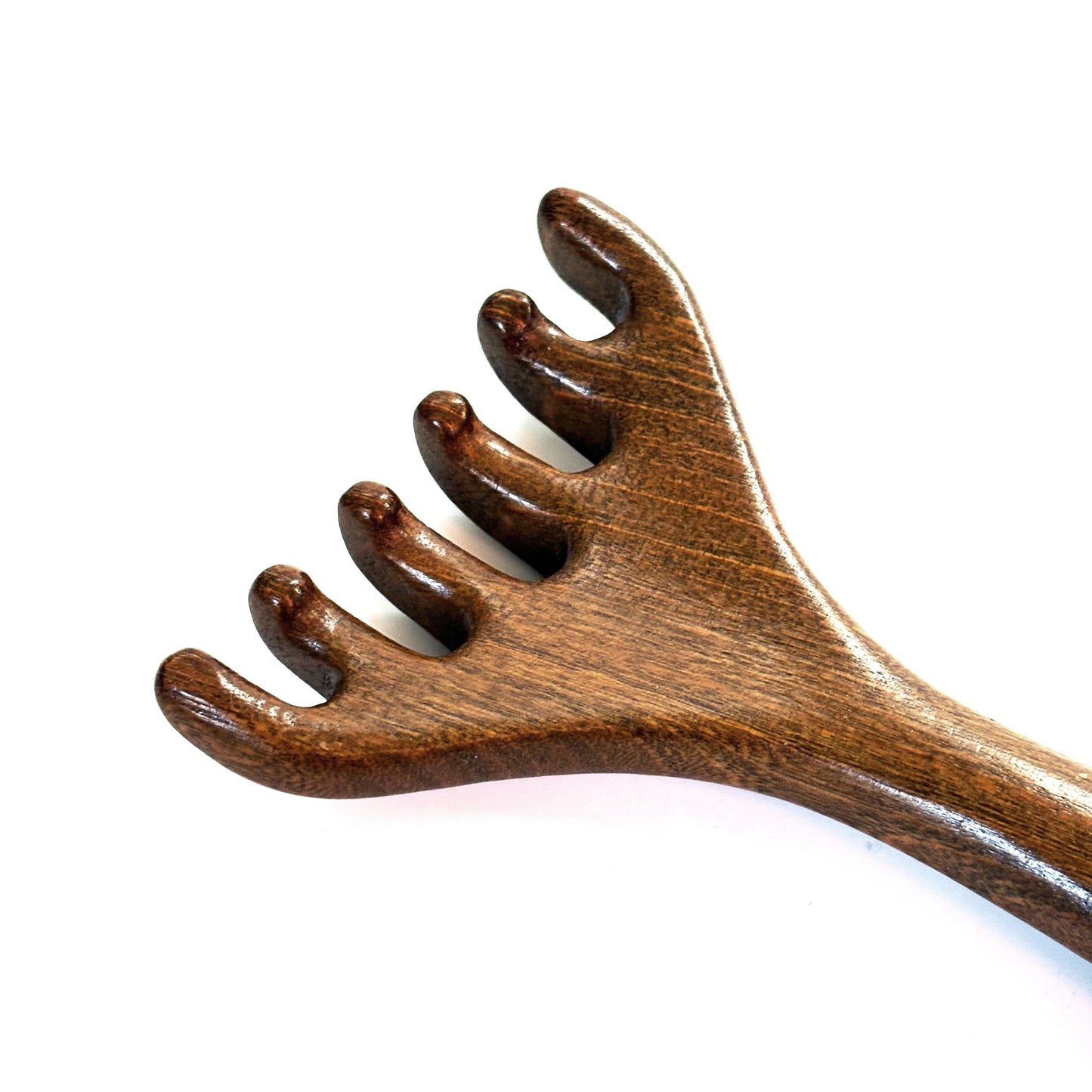 Brosse Spéciale Méridiens pour la Tête